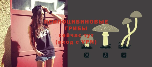 каннабис Карпинск