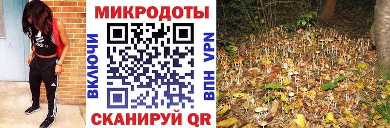Купить где Спасск-Рязанский Псилоцибиновые грибы прущие грибы